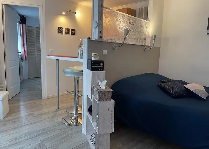 Studio Rez-De-Chaussee, A Lesquin/Lille Aeroport