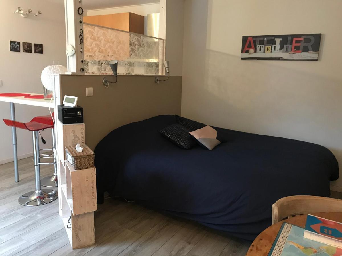 Rez-de-chaussee, A Lesquin/lille Aeroport Apartment *